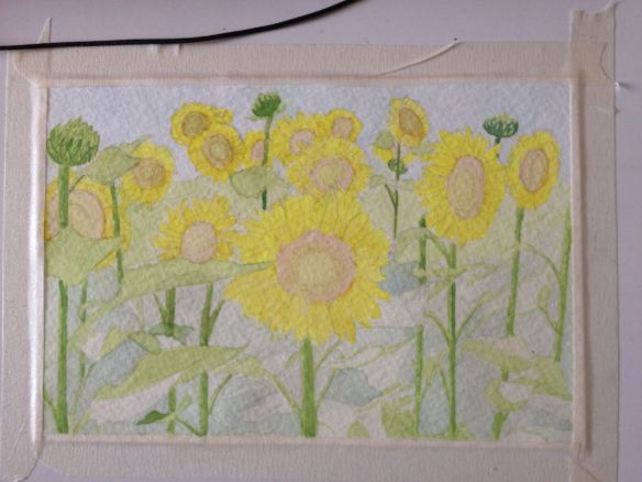 Sunflower Watercolor, sky wash